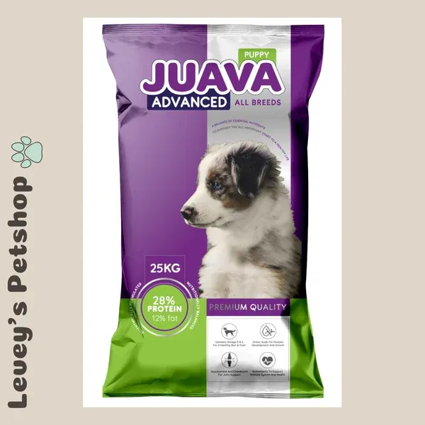 Pharmaceutical Asset