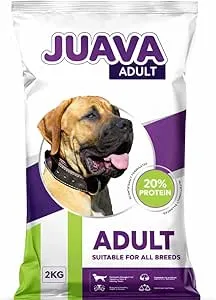 Pharmaceutical Asset