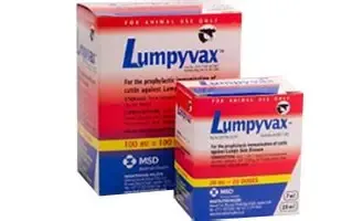 Pharmaceutical Asset