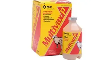 Pharmaceutical Asset