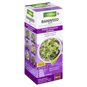 Pharmaceutical Asset