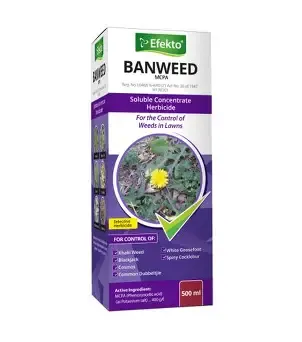 Pharmaceutical Asset