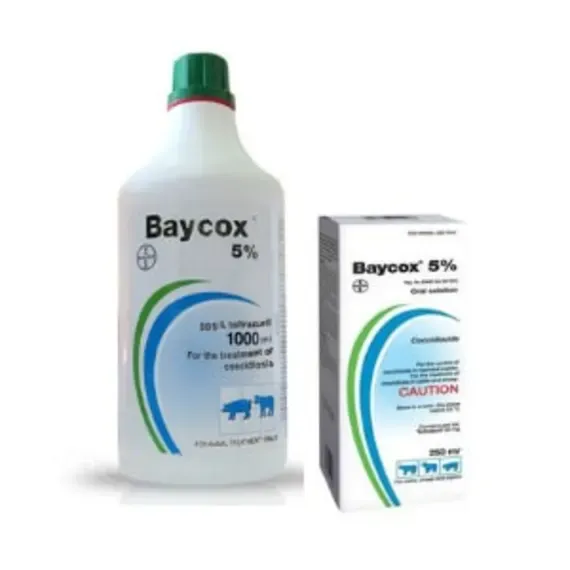 Pharmaceutical Asset